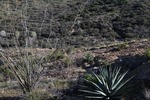 photo thumbnail #10