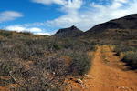 photo thumbnail #3