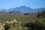 photo thumbnail #1