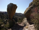 photo thumbnail #2