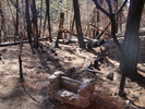 photo thumbnail #6