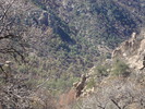photo thumbnail #7