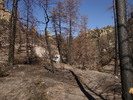 photo thumbnail #10