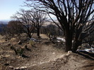 photo thumbnail #9