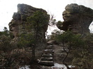 photo thumbnail #12