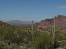photo thumbnail #4