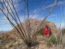 photo thumbnail #9