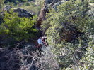 photo thumbnail #12
