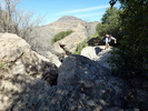 photo thumbnail #14