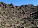 photo thumbnail #11