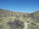photo thumbnail #1