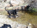 photo thumbnail #14