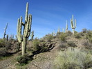 photo thumbnail #1