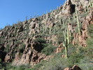 photo thumbnail #6