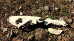 photo thumbnail #3