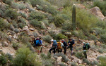 photo thumbnail #5
