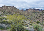 photo thumbnail #8