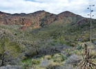 photo thumbnail #14