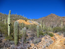 photo thumbnail #9