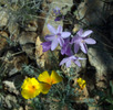 photo thumbnail #11