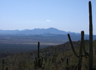 photo thumbnail #15