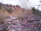 photo thumbnail #1