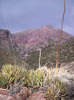 photo thumbnail #14