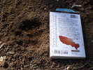photo thumbnail #7