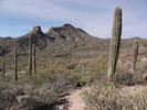 photo thumbnail #3