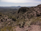 photo thumbnail #9