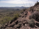photo thumbnail #11