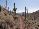 photo thumbnail #13