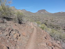 photo thumbnail #14