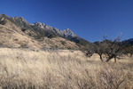 photo thumbnail #4