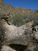 photo thumbnail #10
