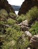 photo thumbnail #13