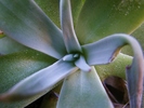 photo thumbnail #13