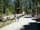 photo thumbnail #1