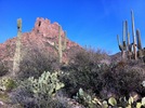 photo thumbnail #2