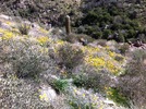 photo thumbnail #9