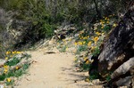 photo thumbnail #5