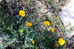 photo thumbnail #10