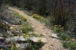 photo thumbnail #12