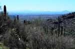 photo thumbnail #13