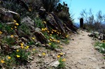 photo thumbnail #14