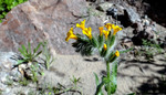 photo thumbnail #5