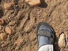 photo thumbnail #13