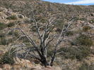 photo thumbnail #15