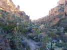 photo thumbnail #2