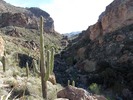 photo thumbnail #4